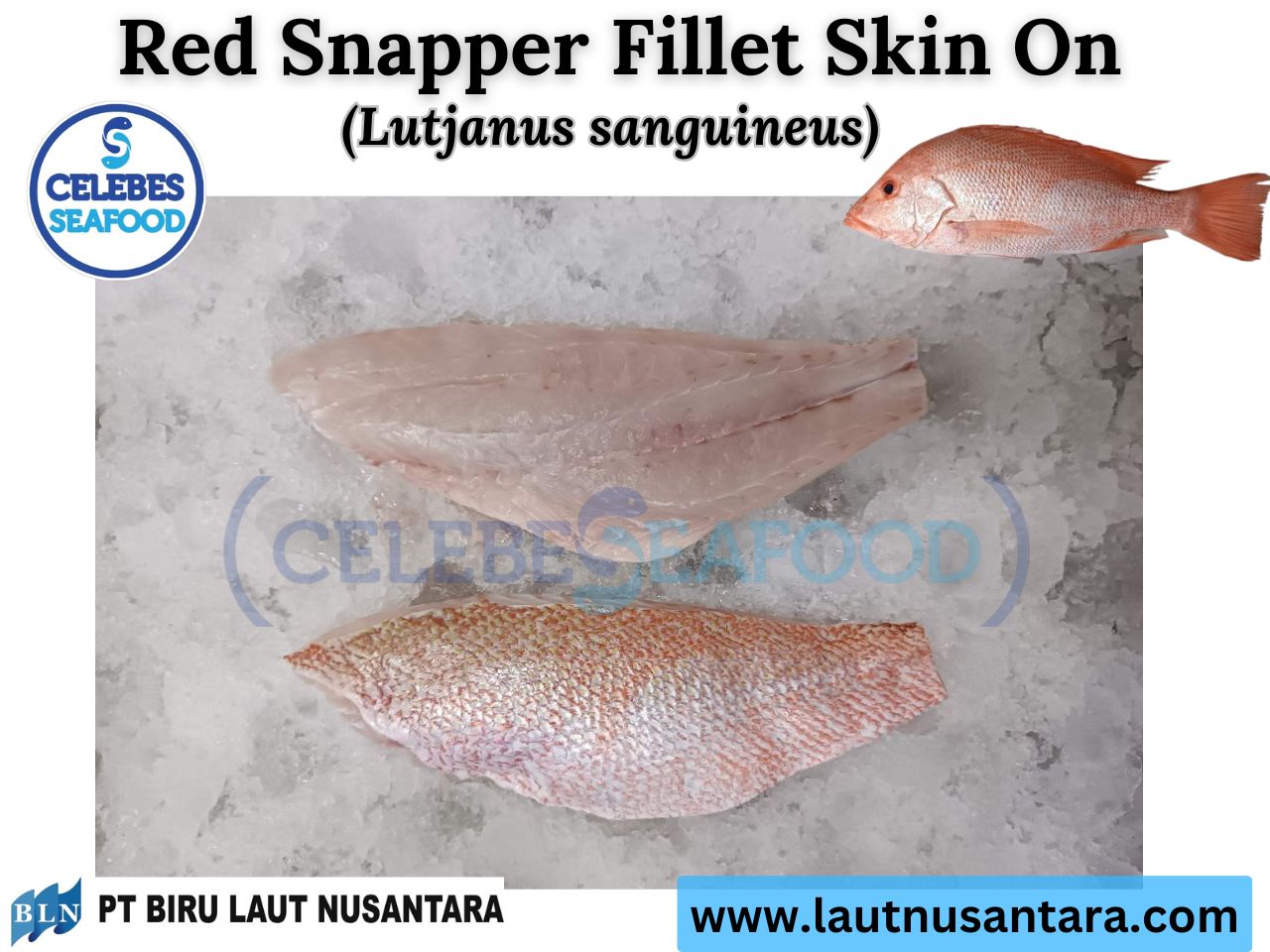 Red Snapper Fillet Skin On